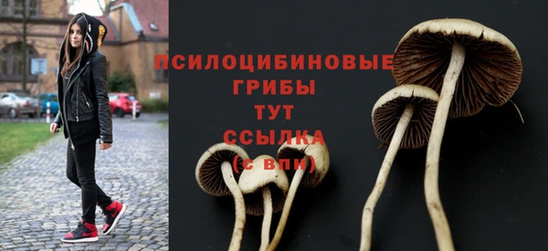 МДПВ Бугульма