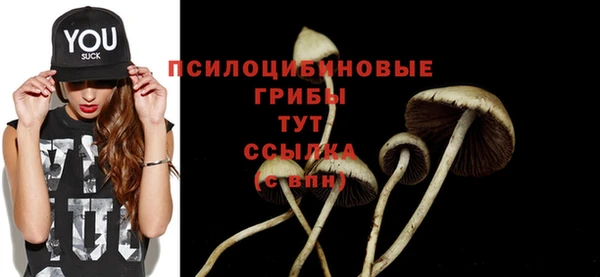 МДПВ Бугульма