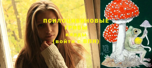 первитин Бородино